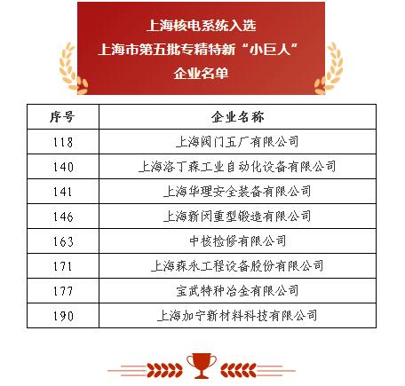上海閥門五廠 以突破性閥門基礎軟件躋身“小巨人”，砥礪前行無畏創新華章
